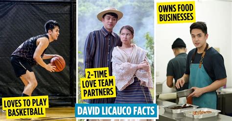 david licauco rule 34|8 Facts About David Licauco Who Plays Fidel In Maria.